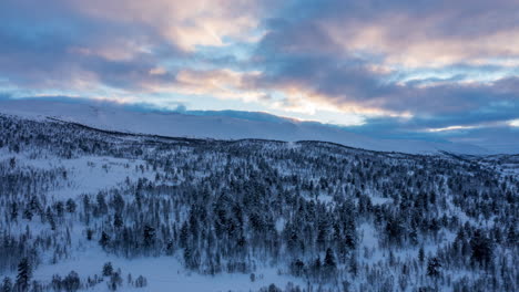 Beautiful-blue-hour-just-after-sunset-on-a-snowy-mountain-forest-in-Norway