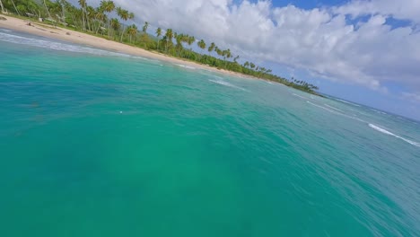 Speed-fpv-flight-over-turquoise-Caribbean-Sea,-sandy-beach,-palm-trees-during-sunny-day-in-Dominican-Republic