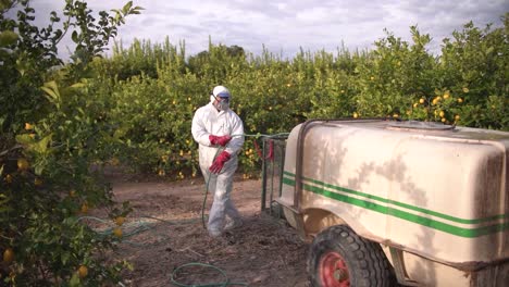Farmer-spray-insecticide,-pesticide,-pesticides-or-insecticides-spraying-on-lemon-trees-agricultural-field-in-Spain