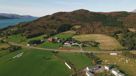 Beautiful-green-Scandinavian-farmlands,-aerial-view-of-remote-countryside