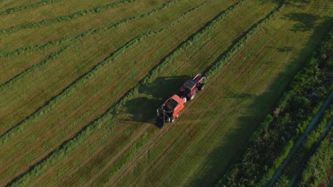 Tractor-and-baler-collects-cut-fodder-to-make-bales---silage-production