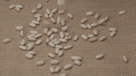 Weiße-Bohnen,-Cannellini-Hülsenfrüchte,-Rotierend-Auf-Jute-Hintergrund