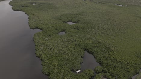 Aerial-tilt:-Boat-in-mangroves-to-Matlacha-Pass-Nat'l-Wildlife-Refuge