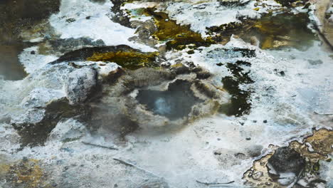 Close-up-shot-of-bubbling-hot-acidic-spring-source-in-geothermal-area-during-sun