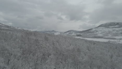Fresh-snow-transforms-landscape-into-fantasy-land,-drone-flight