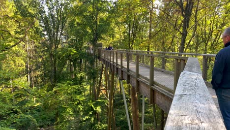 Adult-man-watching-nature-trees-on-canopy-pathway-bridge-during-sunny-day---slow-motion-shot---Famous-attraction-in-Orscholz,Saar-Loop,Germany