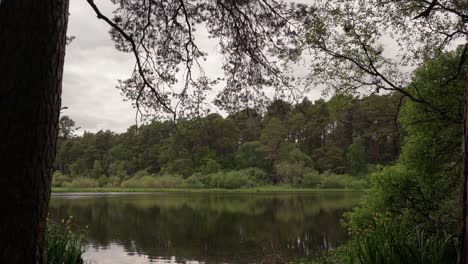 Mirando-Un-Lago-Escocés-En-El-Bosque-A-Través-De-Los-árboles