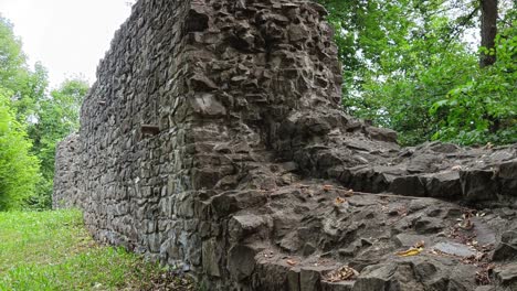 Ancient-Ruine-Wall-in-Forest-with-Tree-in-Foreground