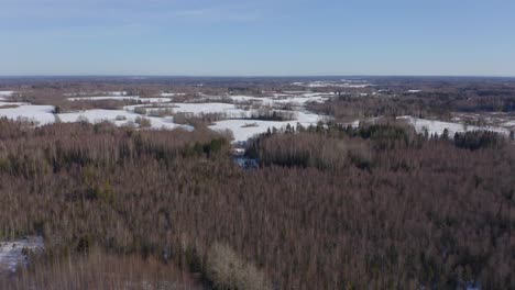 Distant-drone-video-of-leafless-trees-in-a-forest