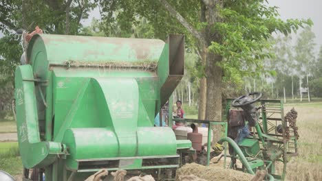 Bangladeshi-labours-are-working-on-a-threshing-machine