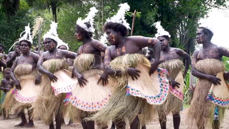 Traditional-sing-sing-performance-by-Bougainville-women-in-traditional-attire-and-heritage-fans-at-cultural-music-performance-in-Bougainville,-Papua-New-Guinea