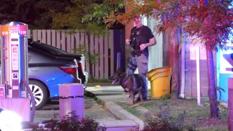 Policeman-With-A-K9-Dog-And-A-Flashlight-Searching-The-Area-For-Evidence-During-Nighttime