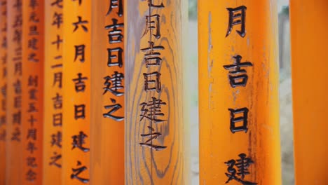 Close-Slow-Motion-Push-Past-Torii-Gates-in-Fushimi-Inari,-Kyoto