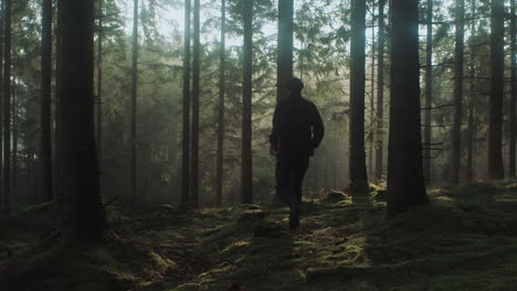 Man-walking-in-the-nordic-forest-early-in-the-morning