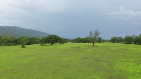 Drone-shot-of-open-field-in-jamaica