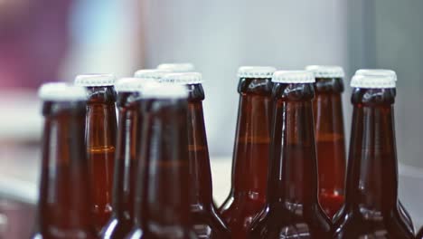 Glass-bottles-of-beer-in-beer-factory