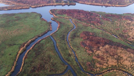 Aerial-drone-shot-of-multiple-waterways-branching-off-a-river-delta-in-the-Netherlands,-surrounded-by-the-colorful-countryside