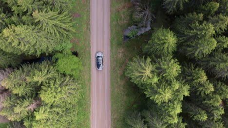 AERIAL-TOP-DOWN-WIDE---A-Tesla-Model-3-drives-down-a-dirt-road-in-a-forest