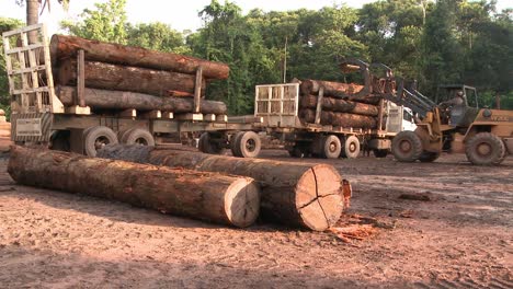 Apilar-Troncos-Con-Un-Tractor-Cargador-En-Un-Camión---Deforestación-De-La-Selva-Amazónica