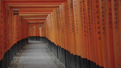 Kyotos-Berühmter-Fushimi-Inari-Tor-Gehweg-Mit-Namen-Der-Gönner-In-Kanji