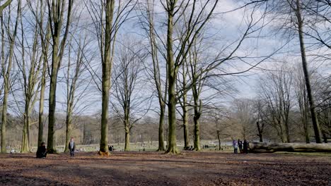 Menschen,-Die-Im-Winter-Am-Berühmten-Bois-De-La-Cambre-In-Ixelles,-Brüssel,-Mit-Blattlosen-Bäumen-Spazieren