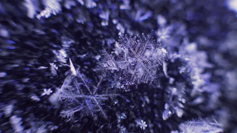 Macro-shot-of-unique-snowflakes-expanding-with-cold,-close-up-shot