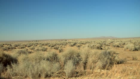 Driving-through-the-desert-passing-desert-plants-with-houses-and-a-mountain-in-the-distance