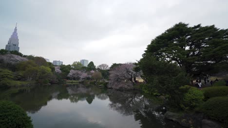 Docomo-Yoyogi-Building-from-Shinjuku-Gyoen-National-Garden-Japan-4K-During-Cherry-Blossom-Season-Sakura