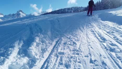 Gente-Esquiando-En-Campos-De-Nieve-Con-Pinos-Y-Cielo-Azul-Durante-El-Día