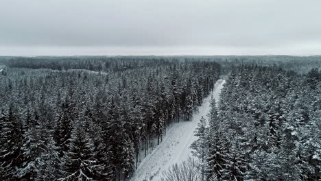 Car-drives-on-snow-road-through-forested-area