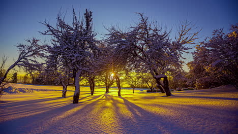 Herrlicher-Goldener-Sonnenuntergang-Hinter-Verschneiten-Bäumen-Und-Winterlandschaft-Während-Der-Goldenen-Stunde