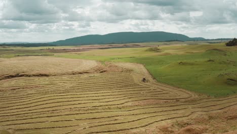 Windrow-lines-in-rural-countryside,-drying-process-of-grass-for-animal-food,-aerial