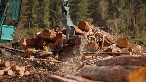 Processing-logs-with-machine-claw-next-to-wood-stock-pile,-clearcutting-logging-industry