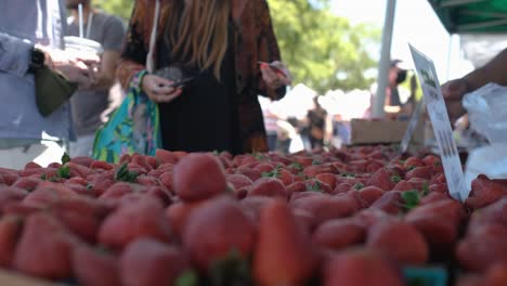 Person,-Die-Mit-Karte-Erdbeeren-Auf-Dem-Lokalen-Straßenmarkt-Bezahlt