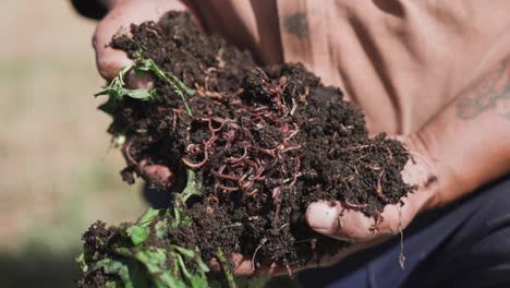 Farmer-hands-full-with-compost-filled-with-worms,-vegetable-organic-mixture