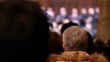 Old-woman-with-gray-hair-rear-shot,-admiting-a-chorus-concert-indoors