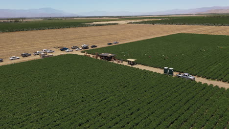 Imágenes-De-Drones-De-Un-Agricultor-Estadounidense-Que-Trabaja-En-Un-Campo-En-El-Valle-De-Palm-Spring,-Cerca-De-Los-ángeles,-California