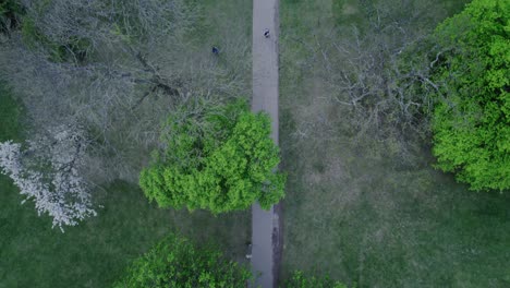 Aerial-birds-eye-view-of-cyclist-as-he-cycles-through-nature-path
