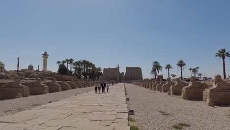 People-walking-along-Rams-road-with-sphinxes-on-both-sides-at-midday-in-Luxor,-Egypt