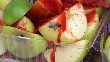 A-small-bee-feeding-on-chamoy-spilled-on-apples
