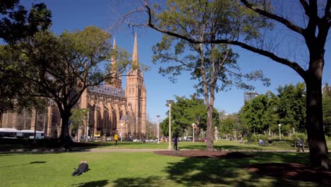 Female-office-professional-are-laying-on-the-grass-and-reading-in-front-of-a-cathedral-in-the-park