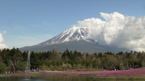 Weitwinkelaufnahme-Eines-Brunnens-Beim-Fuji-Shiba-Sakura-Festival-Mit-Dem-Malerischen-Schneebedeckten-Berg