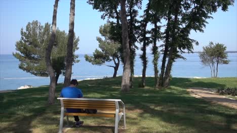 Man-in-blue-shirt-sits-on-seaside-park-bench,-engrossed-in-a-book