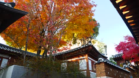 Farbenfrohe-Landschaftsansicht-Im-Herbst-Im-Ostasiatischen-Land