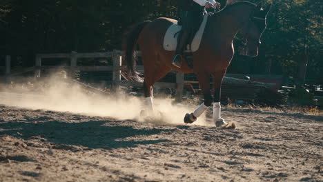 Horse-and-female-rider-walk-and-trot-in-slow-motion-in-a-sand-arena