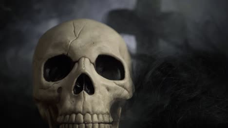 Human-skull-on-smoking-creepy-background-medium-shot