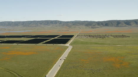 Flying-over-solar-panels-and-California-poppies