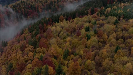 Colorful-red-and-orange-trees-in-misty-forest,-aerial-view,-Romania