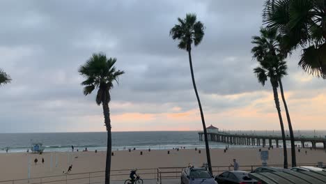 palm-trees-on-california-beach