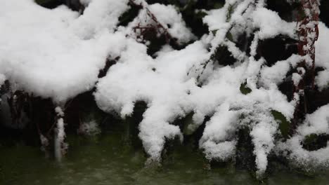 Nahaufnahme-Des-Gefrorenen-Randes-Eines-Gartenteichs-Mit-Fallendem-Schnee
